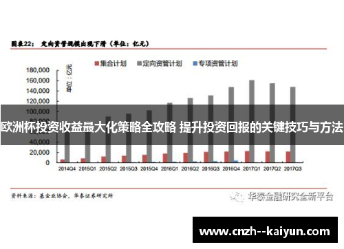 欧洲杯投资收益最大化策略全攻略 提升投资回报的关键技巧与方法