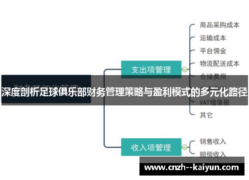 深度剖析足球俱乐部财务管理策略与盈利模式的多元化路径