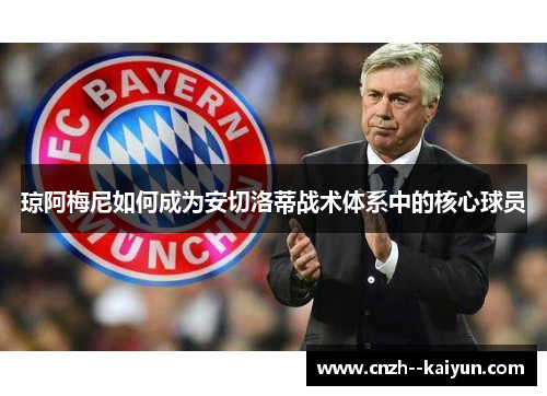 琼阿梅尼如何成为安切洛蒂战术体系中的核心球员