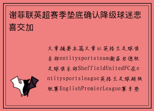 谢菲联英超赛季垫底确认降级球迷悲喜交加