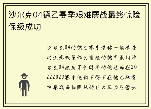 沙尔克04德乙赛季艰难鏖战最终惊险保级成功